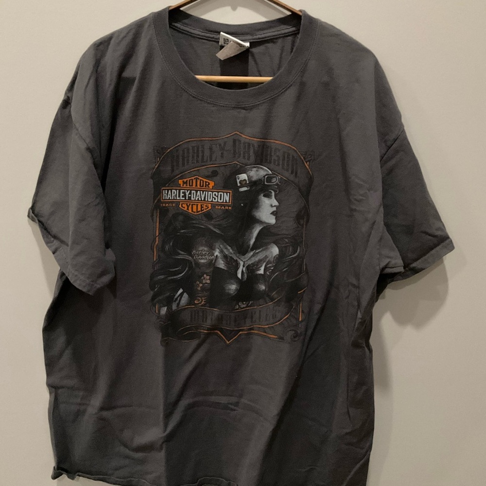 Harley-Davidson Gray Graphic T-Shirt for Men